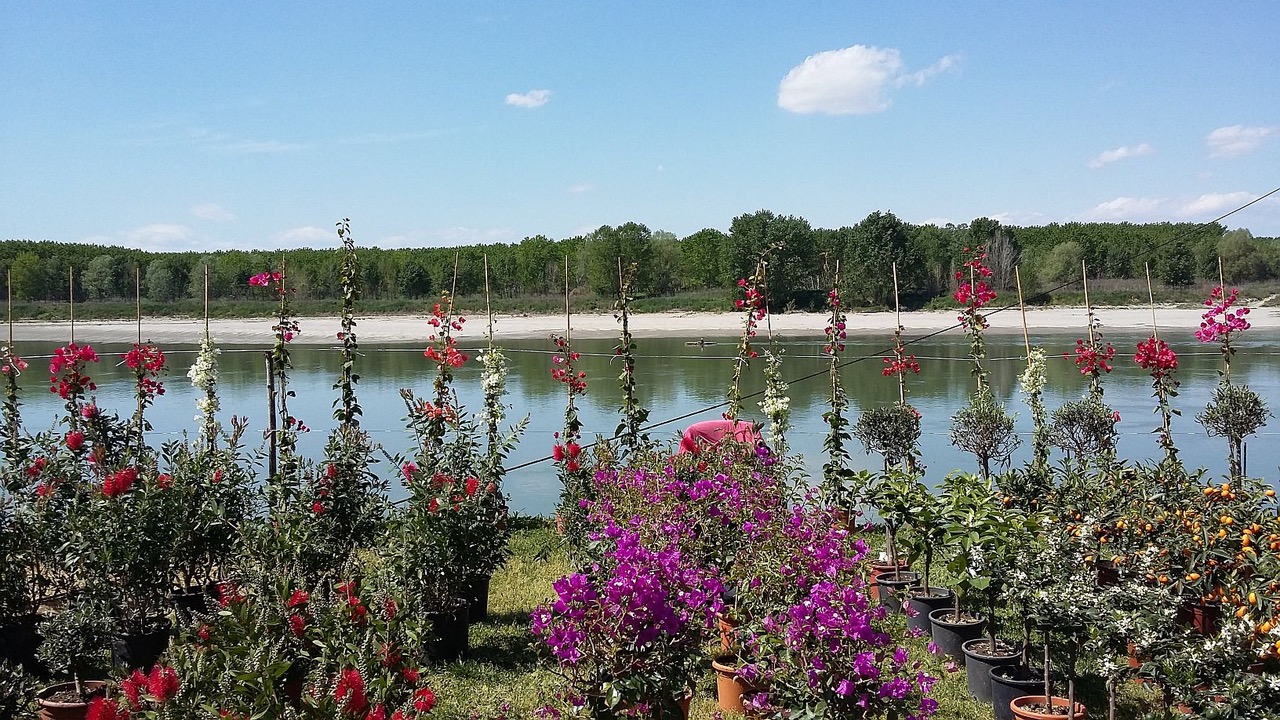 I mille fiori dell’Emilia