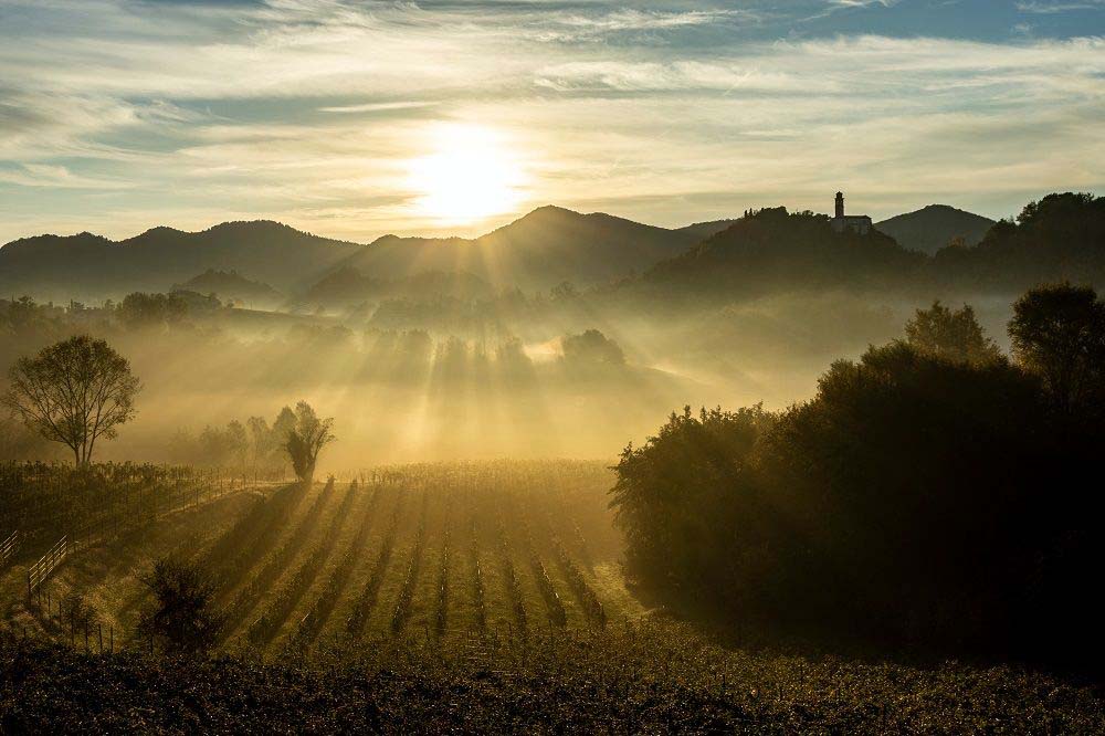 Giornate sui Colli Veneti
