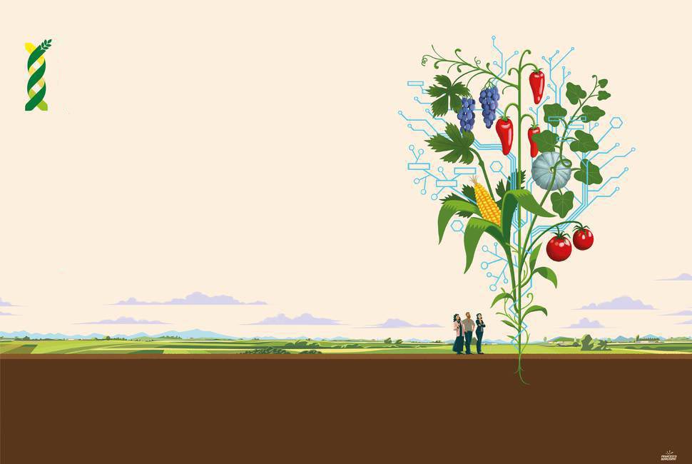 Food&Science Festival