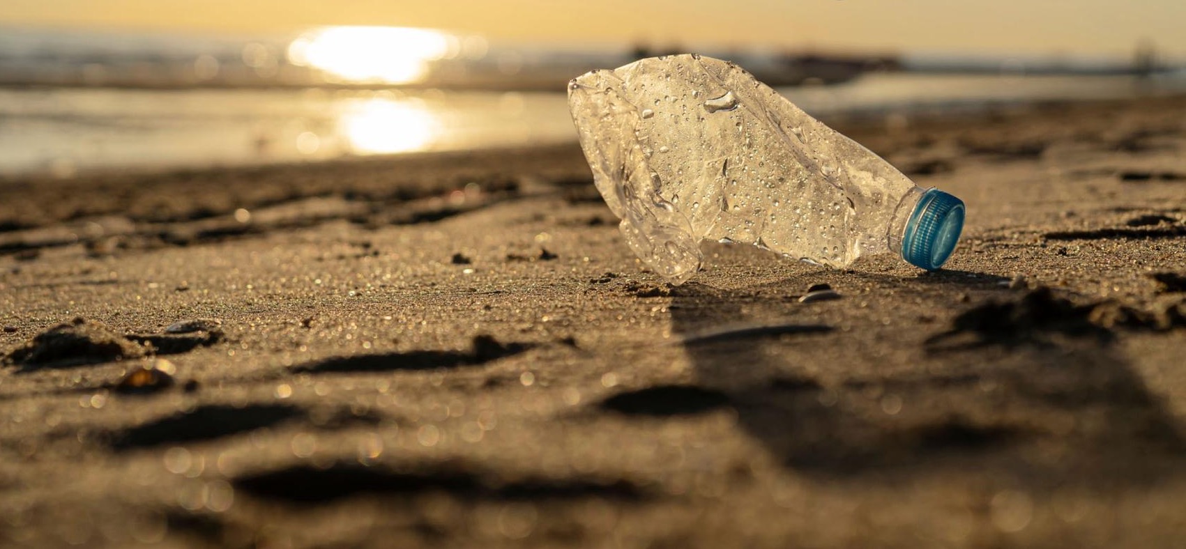Orbe Terracqueo, festival per l’ambiente