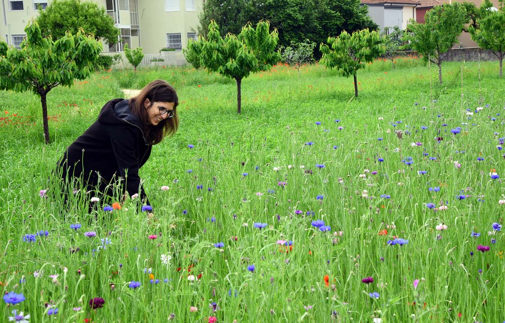 Il giardino delle api
