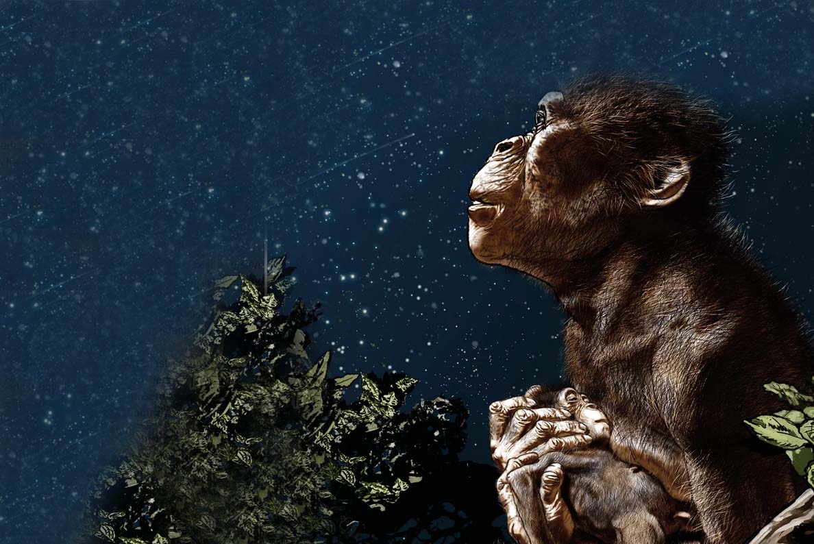 Lucy il sogno di un’evoluzione