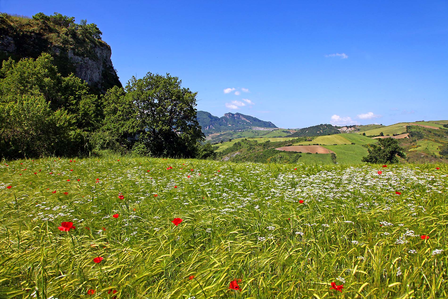 Rapporto biodiversità a rischio di Legambiente