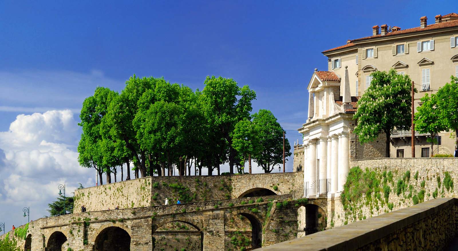 Alberi, 30 frammenti d’Italia in Città Alta
