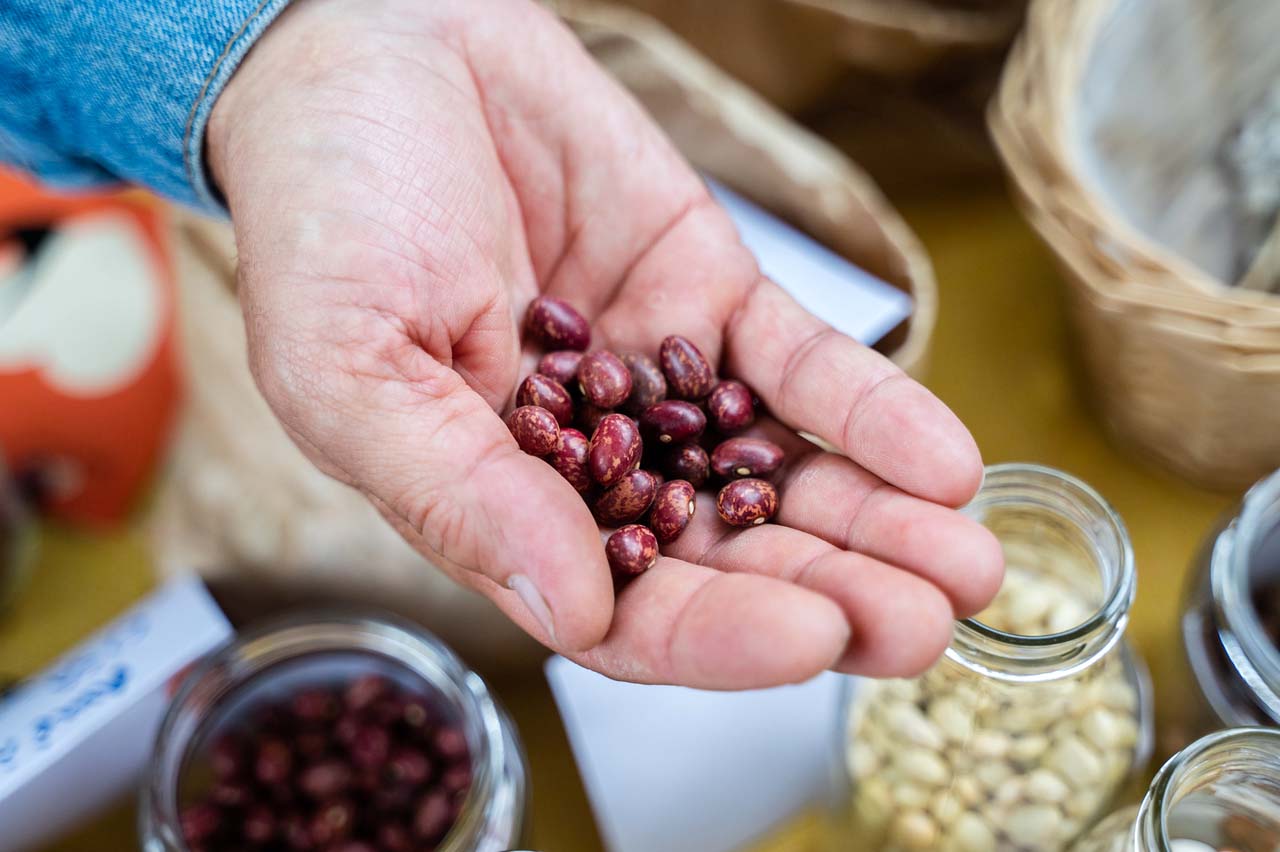 Terra Madre per il cibo buono, pulito e giusto