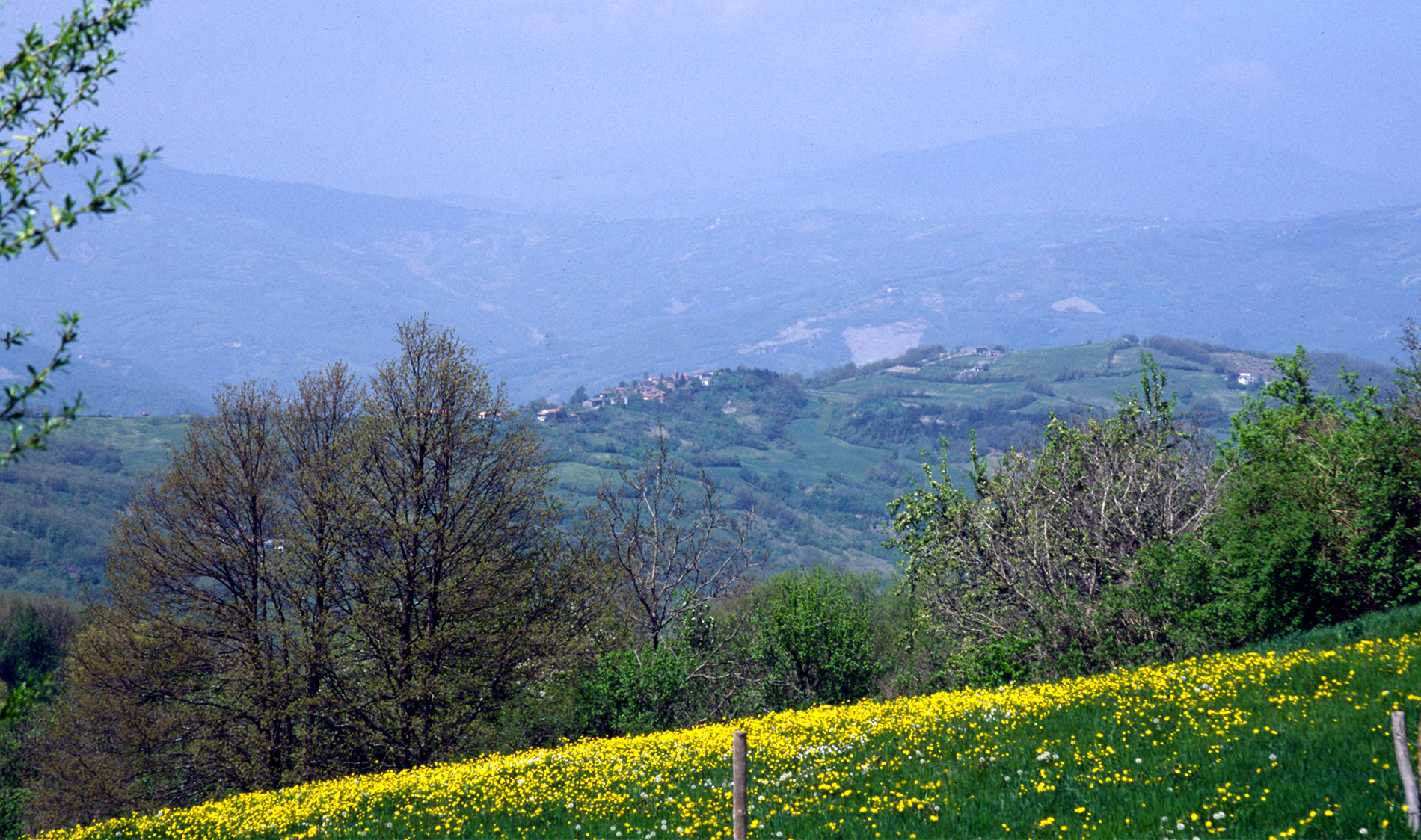Berceto, anima medievale dell’Appennino