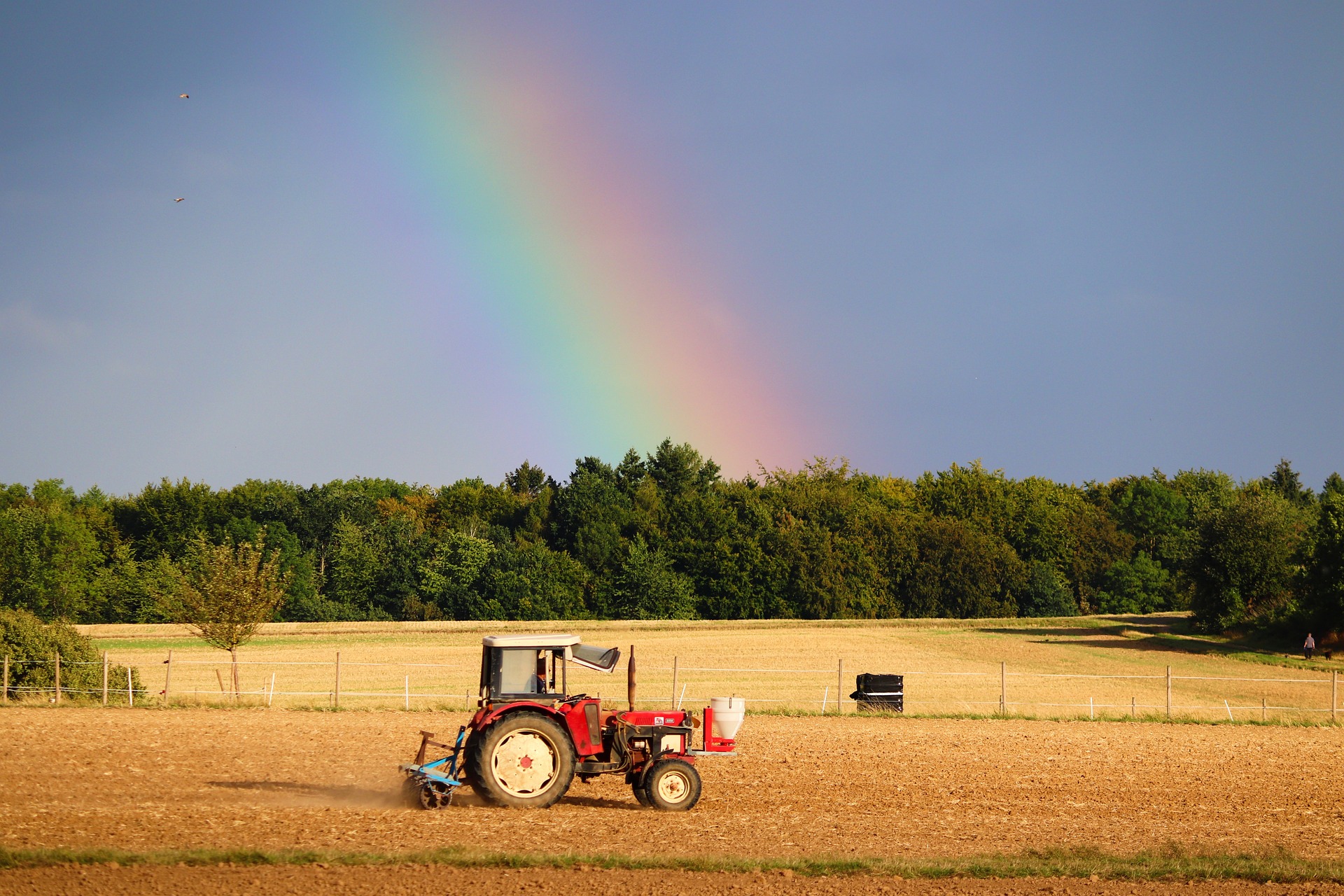 Trecasali, è Fiera Agricola