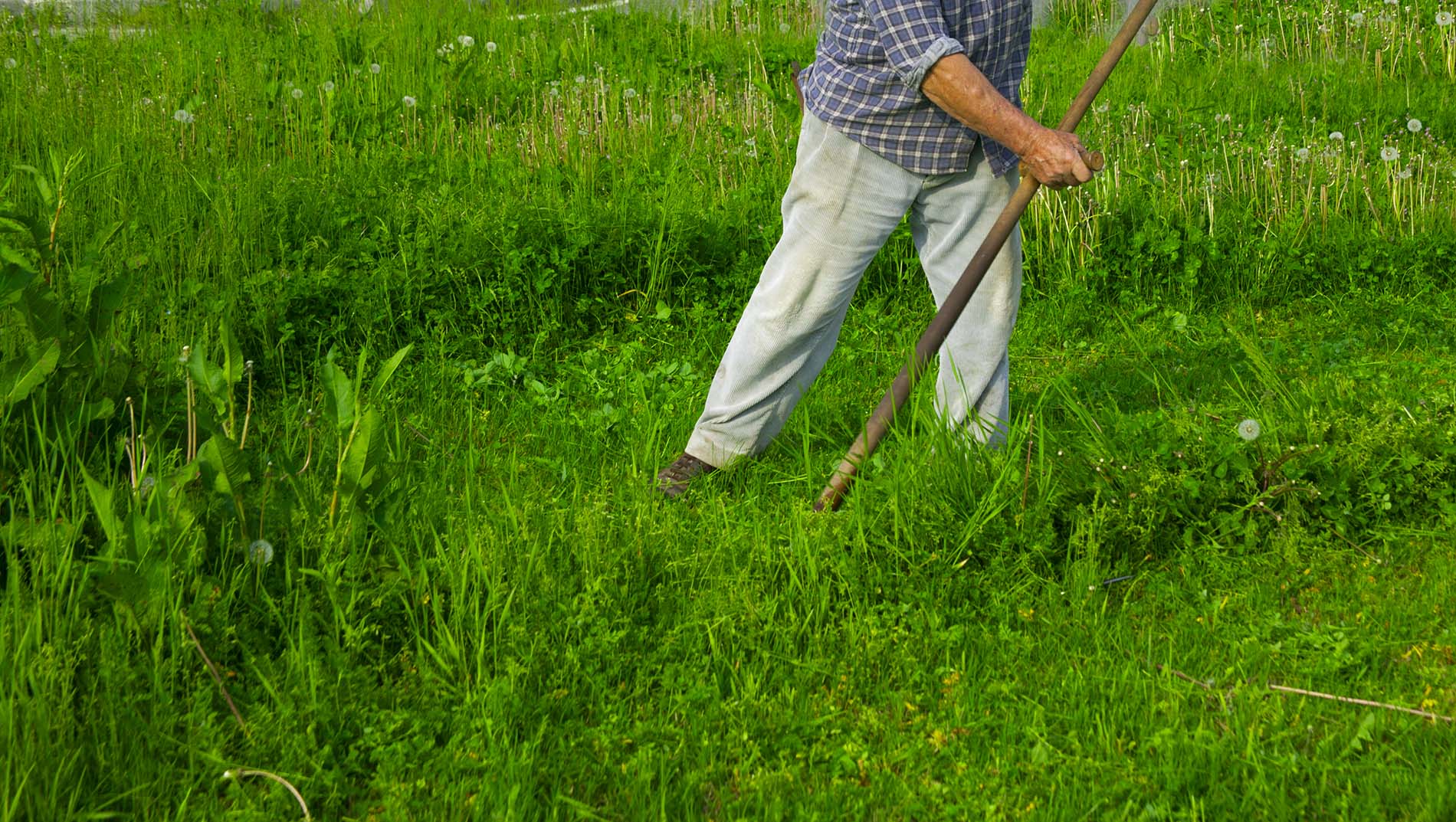 Festa del fieno e dei prati