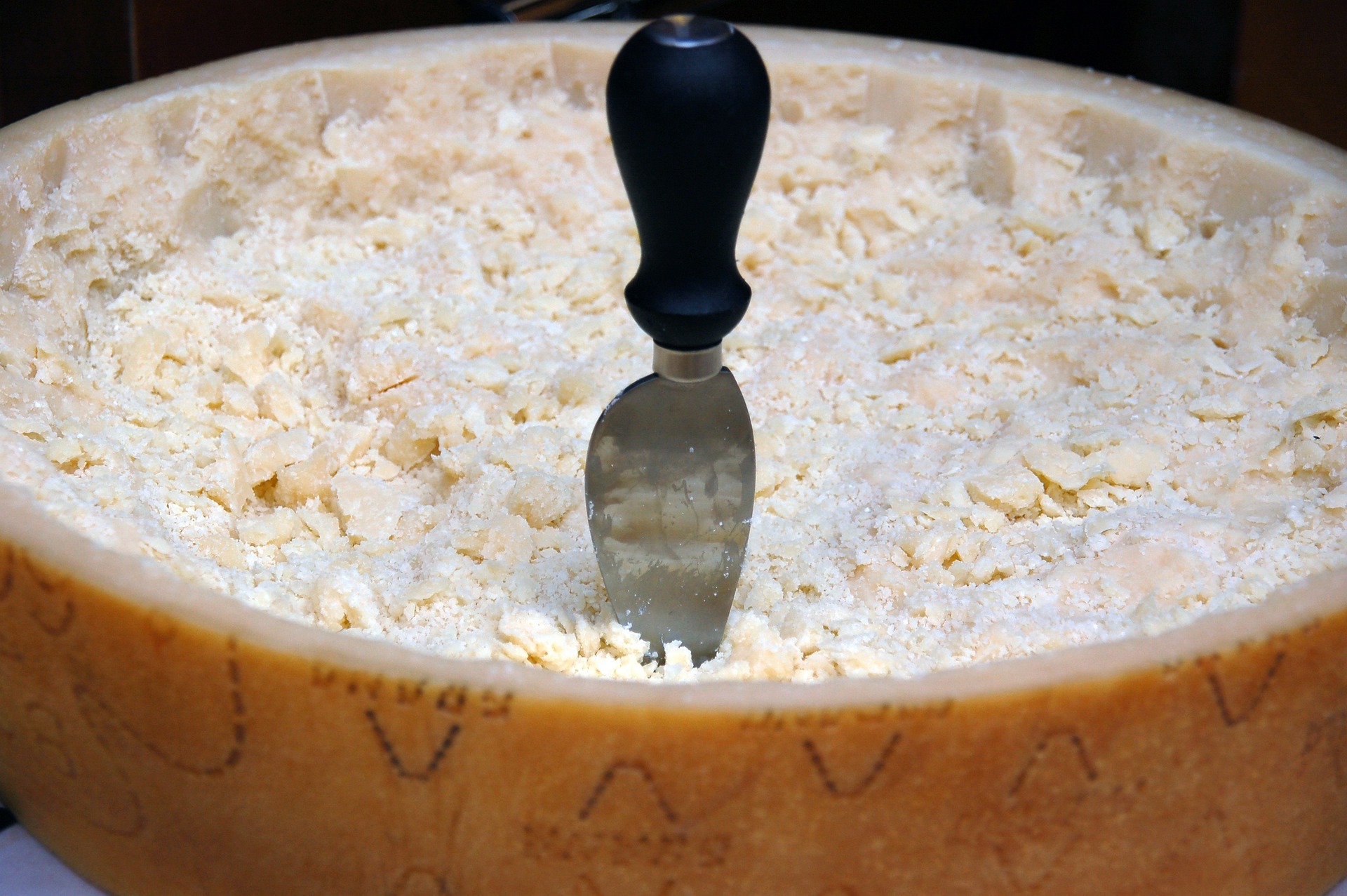 Scaglie di economia: a Goito nel nome del Grana Padano Grana Padano