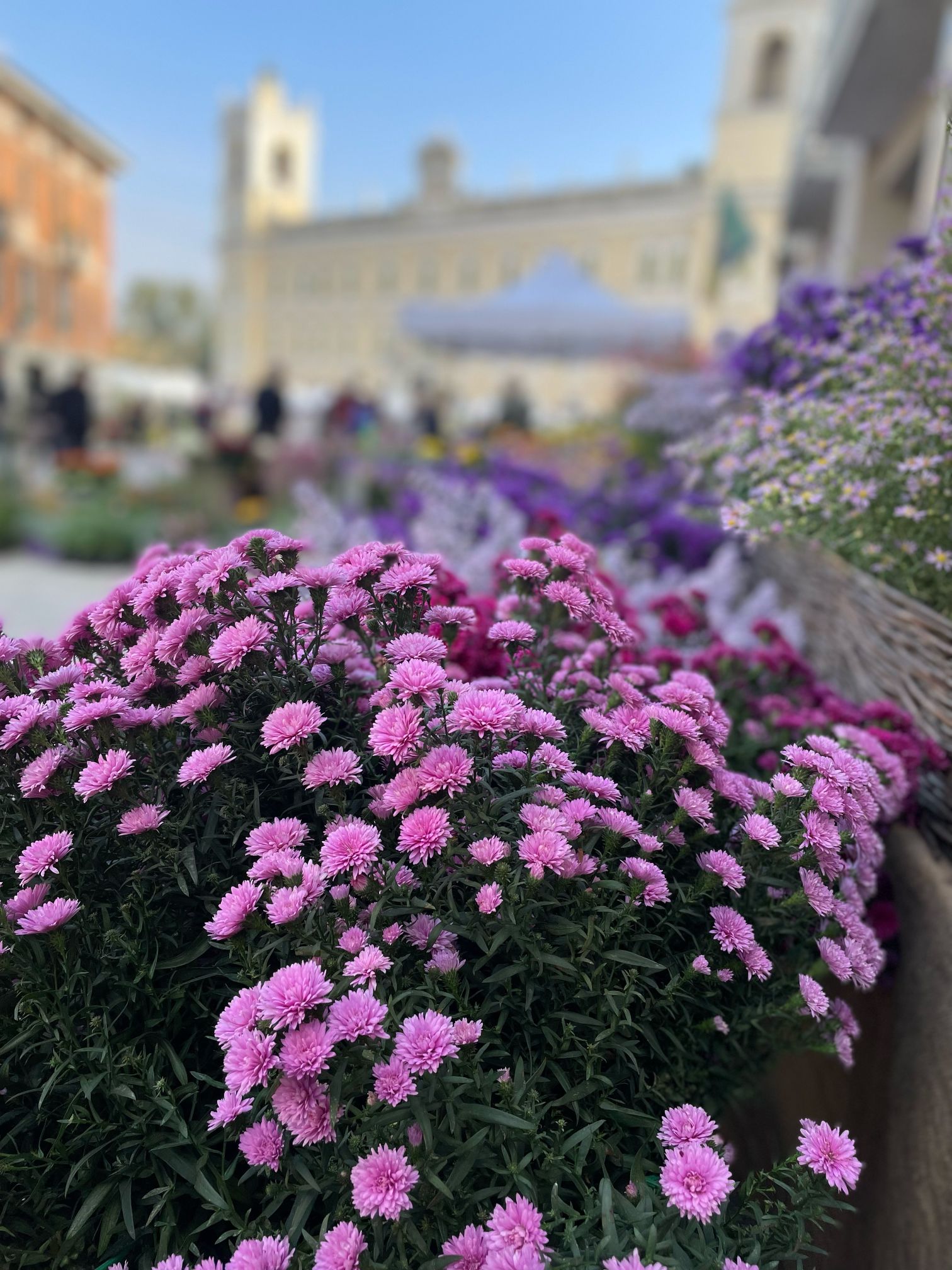 Autunno, sulla Strada del Giglio