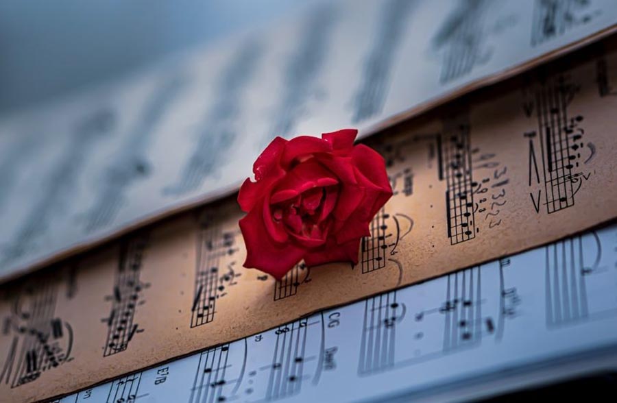 MusichEparole per la ricerca