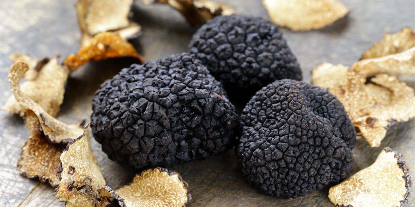 Profumo di tartufo nella terra di Ferrara