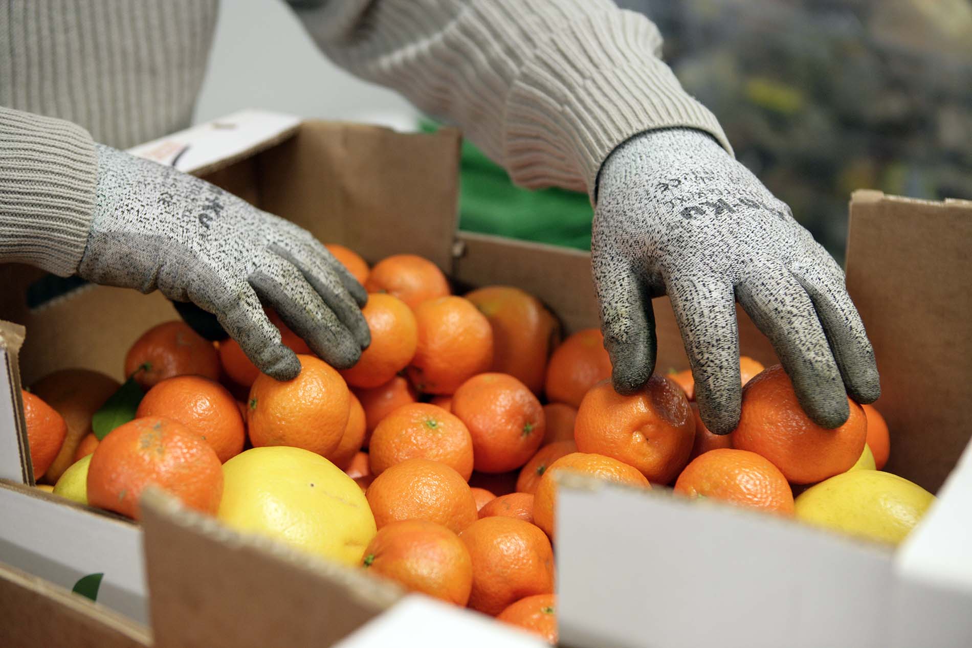 Settimana per il NON spreco alimentare
