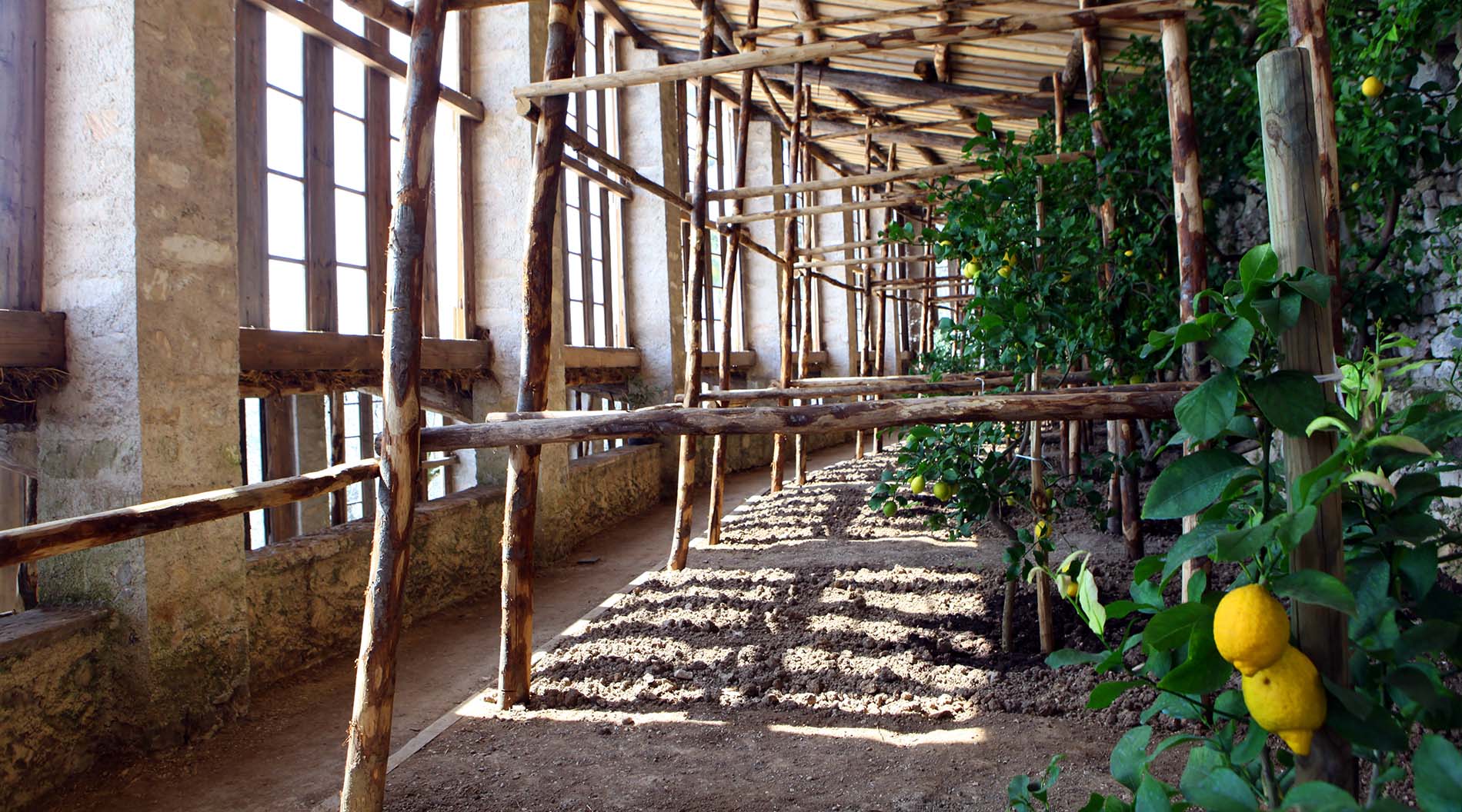 Limonaie d’inverno