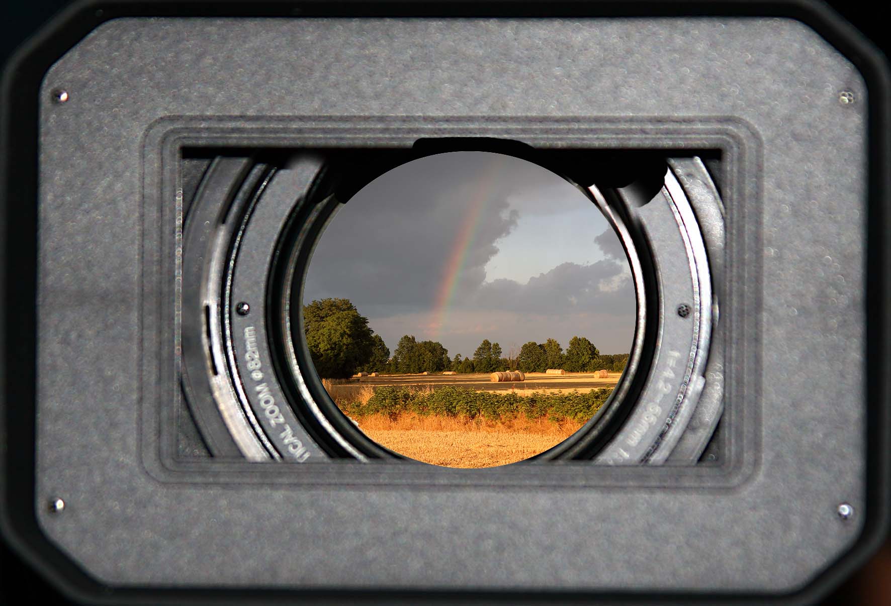 Concorso fotografico delle Terre Basse