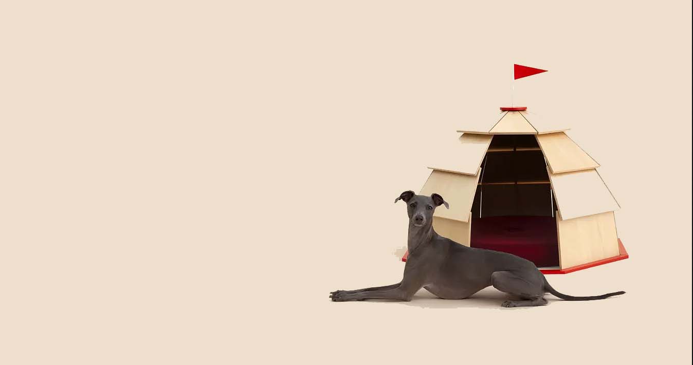 Architecture for Dogs