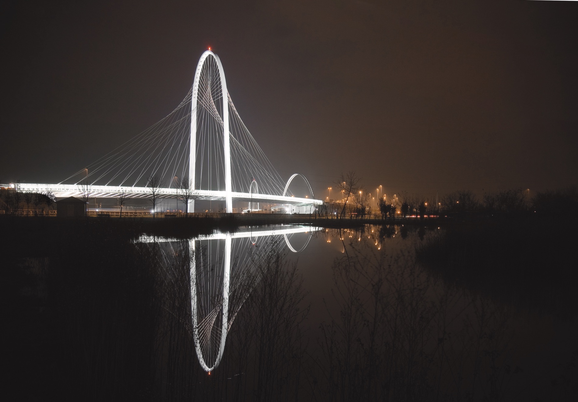 Itinerari / Reggio Emilia, icona delle arti contemporanee Comune-di-Reggio-Emilia-Progetto-Santiago-Calatrava-Foto-Jarno-Zaffelli