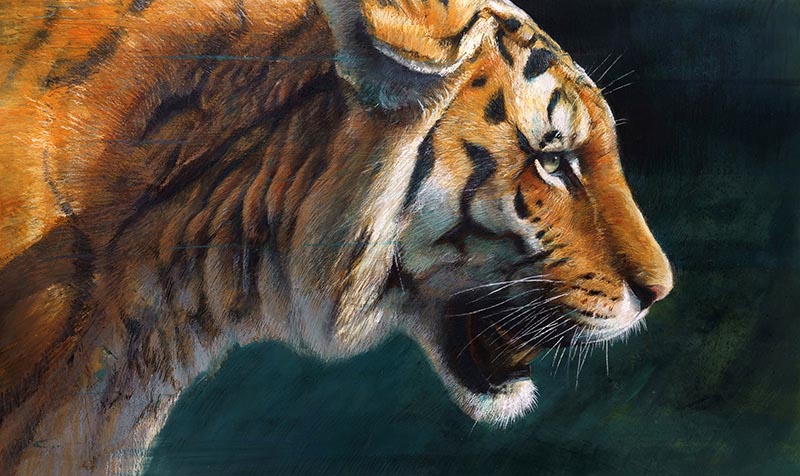 Mostre / Sulle tracce di Orfeo, gli animali di Samuele Drago