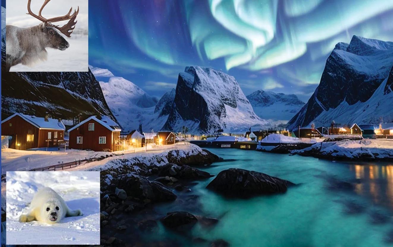 Artico selvaggio, alla scoperta del Varanger