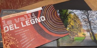 Nelle valli del legno