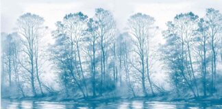 La nebbia danzava attorno agli alberi