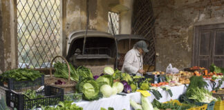Il mercato della terra a Padernello: appuntamento ogni terza domenica del mese Castello di Padernello - Mercato della Terra - Foto di Virginio Gilberti