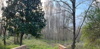 Il Parco del Laghetto, un’area preziosa ora tutelata