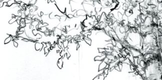 Mostre / Primavera alla Collezione Paolo VI
