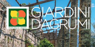 Giardini d’agrumi sul lago di Garda