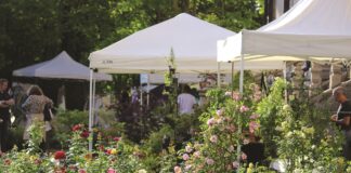 Giardini, frutta, musica e arte: Ortocolto a Busseto Busseto,-Ortocolto-2024,-ph.-Doriano-Donati,-Archivio-Ortocolto-APS,-CC-BY-NC-ND-4.0