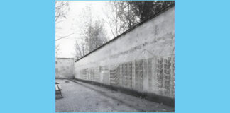 MANTOVARCHITETTURA, Oltre il muro