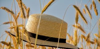 R’Estate in città a Rovigo