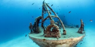 MyShot 2025: la fotografia subacquea racconta il mare e il suo destino