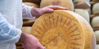 Alla scoperta del Re dei formaggi