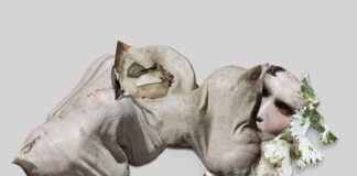 Mostre / This Body Made of Stardust