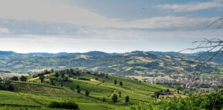 Show di vino e territorio con il Valtidone Wine Fest