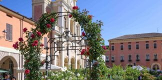 Piante e animali perduti a Guastalla