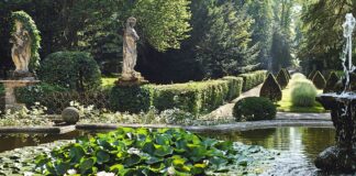 Verde Grazzano: bellezza, scoperta e creatività