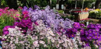 Nel laboratorio del futuro del mondo