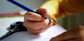 Oltre la mafia: scuole a concorso