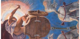 Libri / Mefamorfosi, Palazzo Te come opera d’arte totale