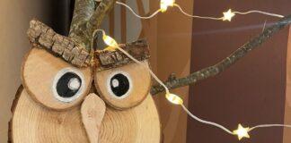 Natale2025 / Nella valle incantata