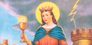 I vigili del fuoco di Darfo Boario e Santa Barbara