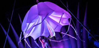 ÉVEIL, una favola acrobatica