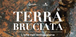 Premio Suzzara, arte nell’Antropocene