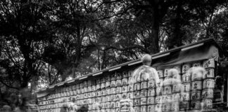 Mostre / La Via del Sabi