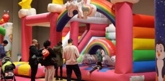 La fiera dei balocchi