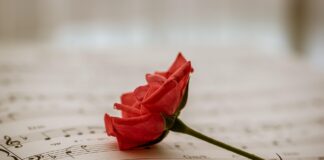 Swinging Mind: viaggio fra neuroscienze e musica