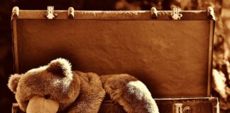 Libri / Non sarò il tuo peluche!