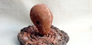 Mostre / Omaggio a Nanni Valentini